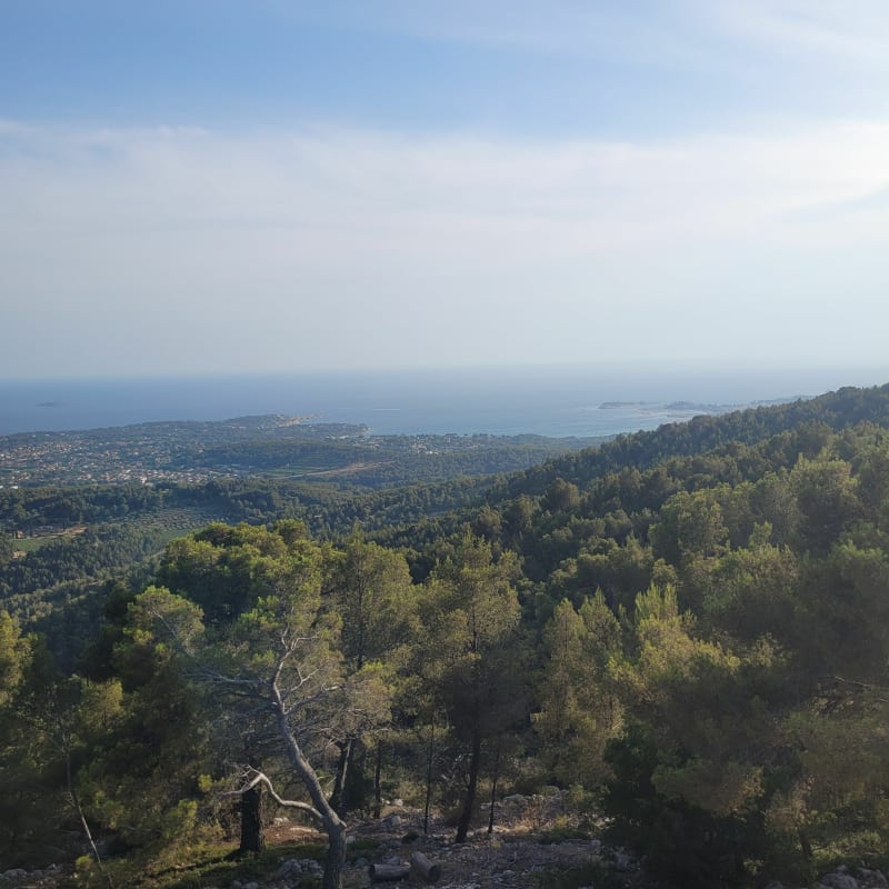 Route du Gros Cerveau depuis Toulon - Toulon
