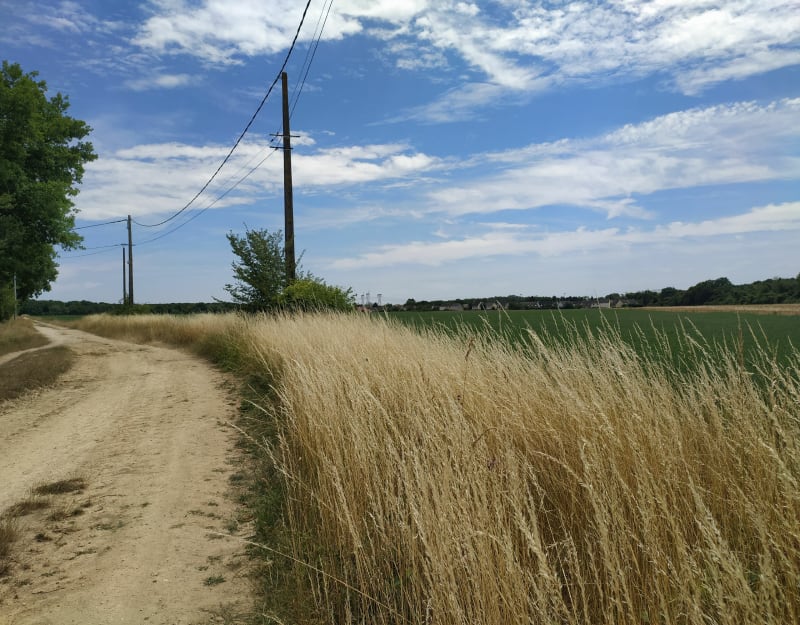 Boucle nature et diversité autour du Mée-sur-Seine - Le Mée-sur-Seine