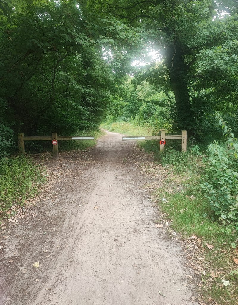 Tour de forêt de Sénart - 18 km - Vigneux-sur-Seine