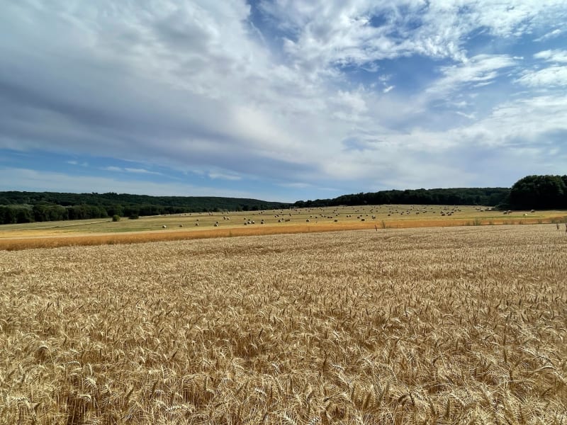 Vtt à Breuillet et ses alentours - Breuillet