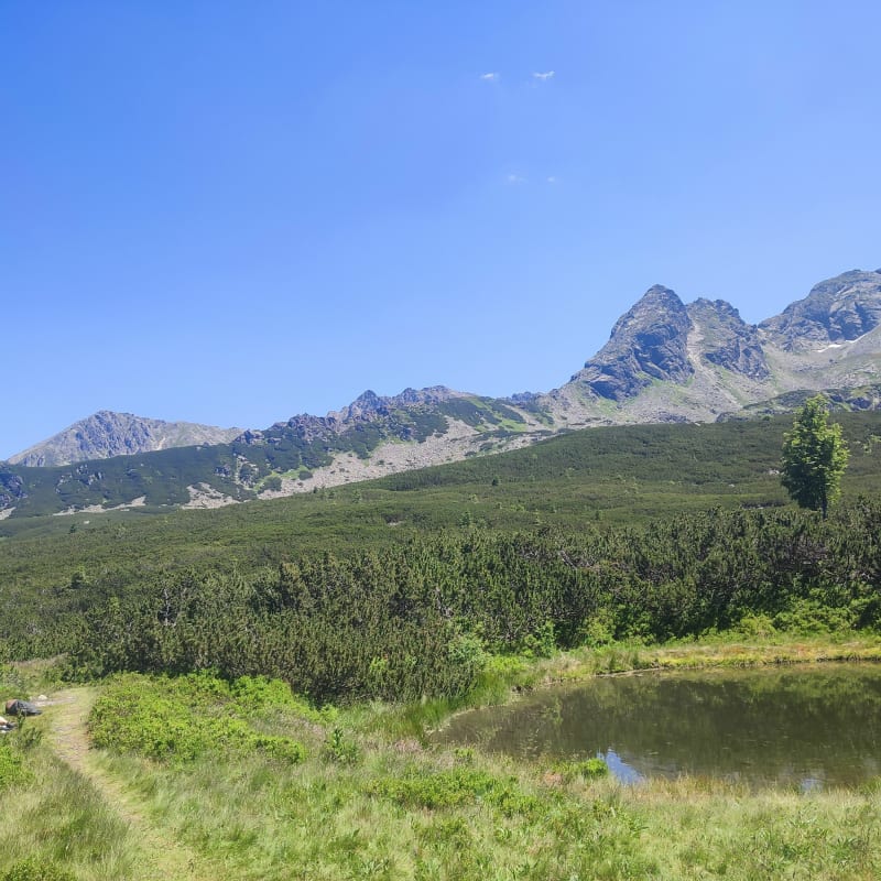 Jaworzynka, Czarny Staw Gąsienicowy, Karb - Zakopane