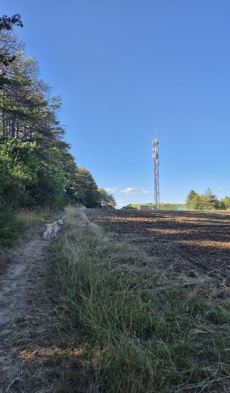Emetteur de Talant et vue sur la Vallée de Louche - Talant