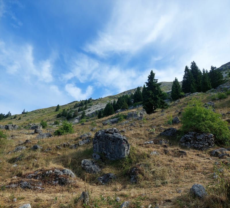 Le Criou depuis Vallon d'en haut à Samoens - Samoëns