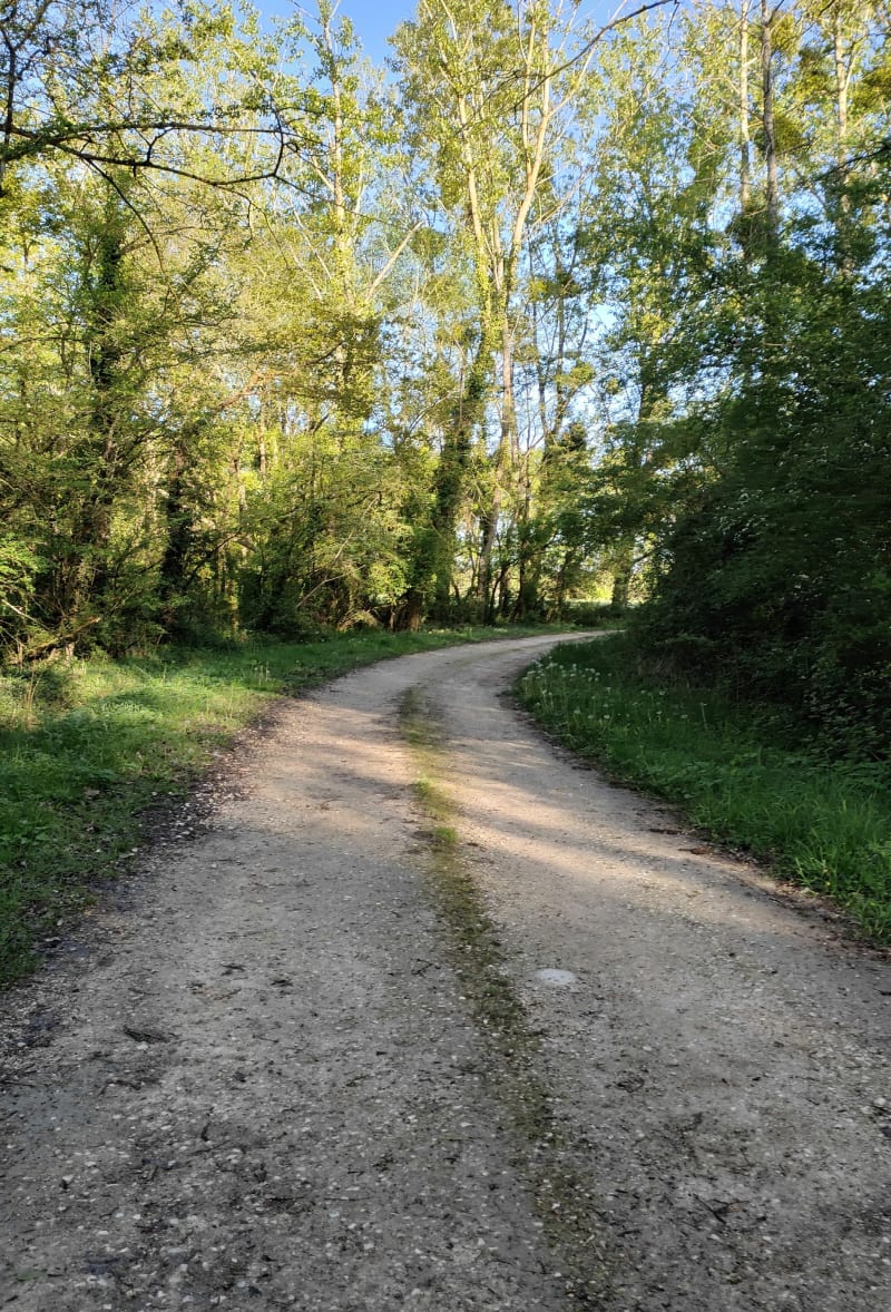 Balade entre Contres et Fresnes - Le Controis-en-Sologne