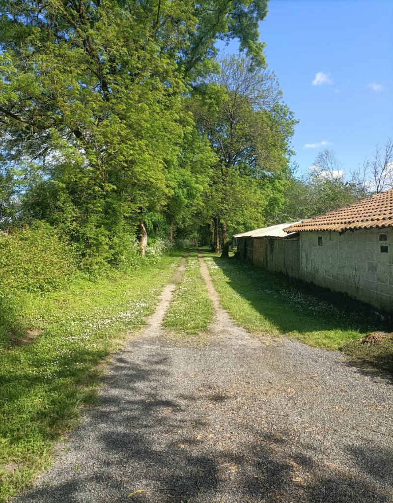 Balade dans la vallée du l'Ary - Chevanceaux