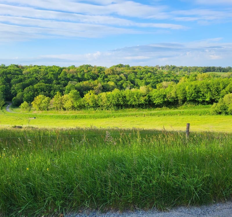 Balade sur Bellegarde dans le Gers - Bellegarde