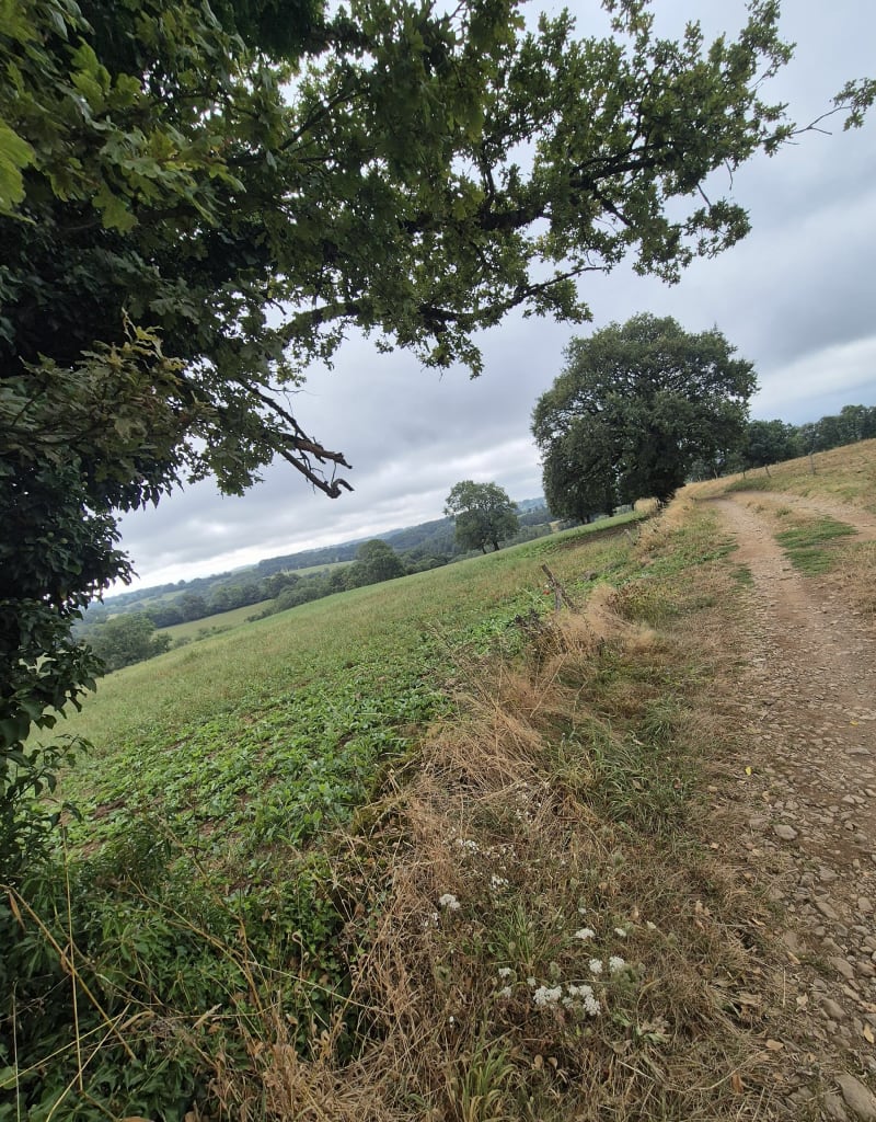 Sentier du Puy Bouval - Pleaux