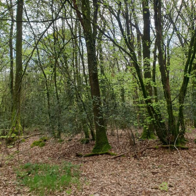 Entre Riaillé et Saint-Mars-la-Jaille - Vallons-de-L'Erdre