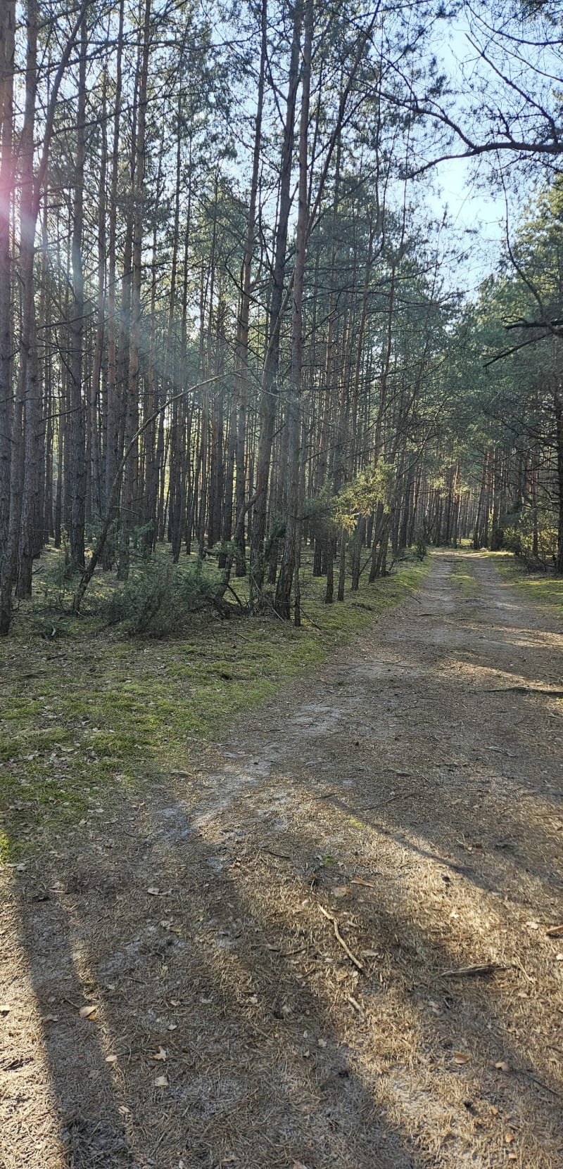 Zacisze Kotwasic - Feliksów