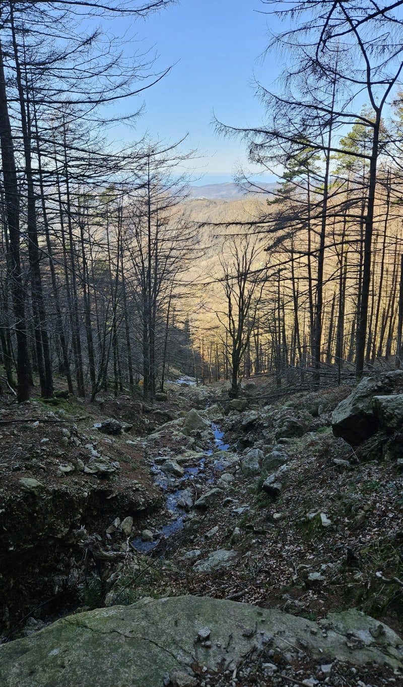Aiako harriko - Irún