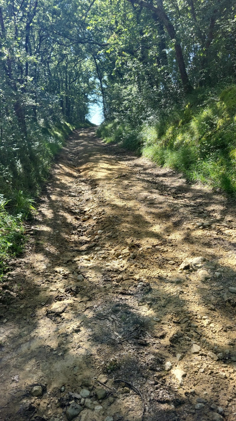 Chemin des crêtes depuis Orbessan - Orbessan