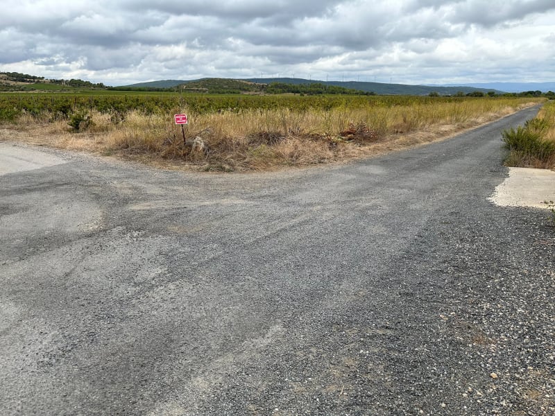 Paraza entre vignes et garrigue - Paraza