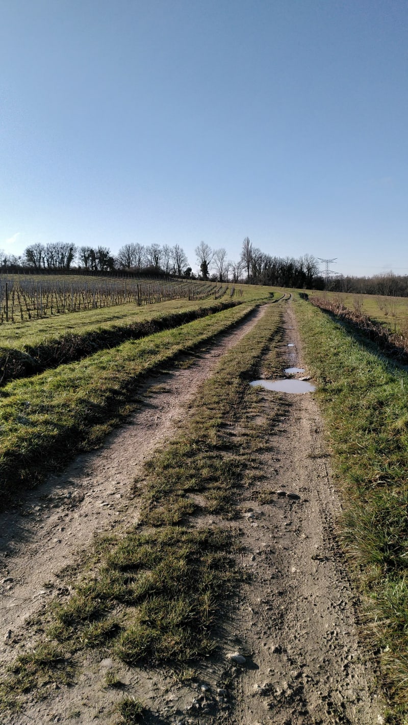 Boucle dans le vignoble de Cameyrac - Saint-Sulpice-et-Cameyrac