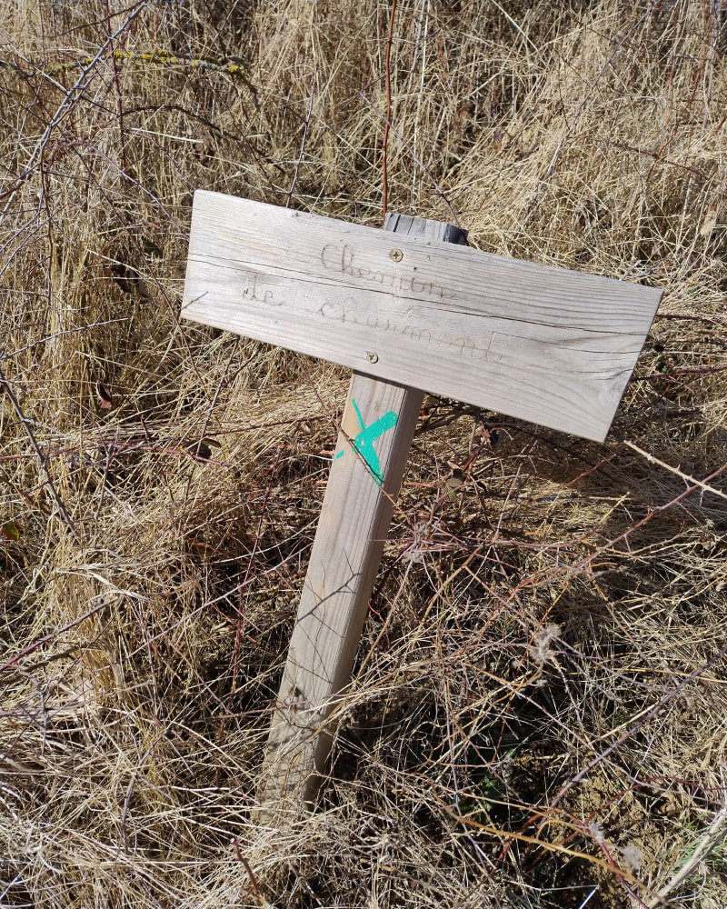 Puy de Charmont par le chemin de Charmont - Aydat