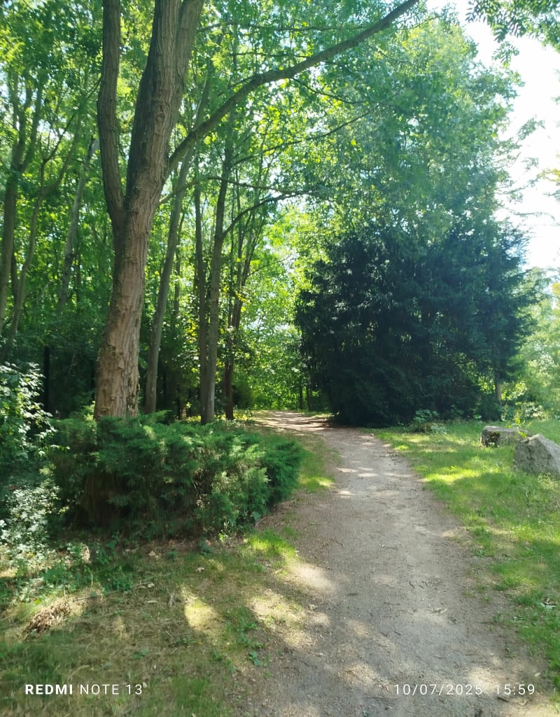 Terril Arena et alentours - Loison-sous-Lens