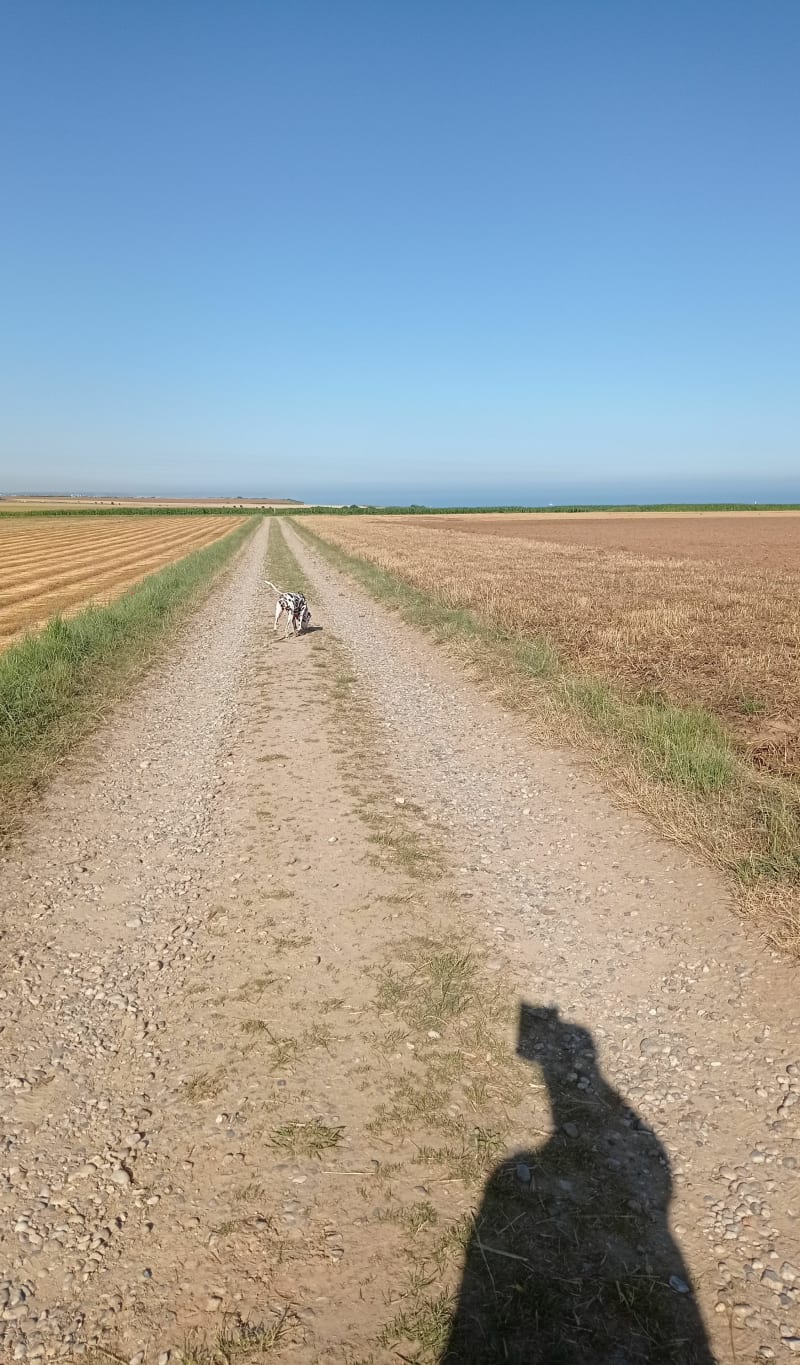 Petite balade autour de Petit-Caux - Petit-Caux