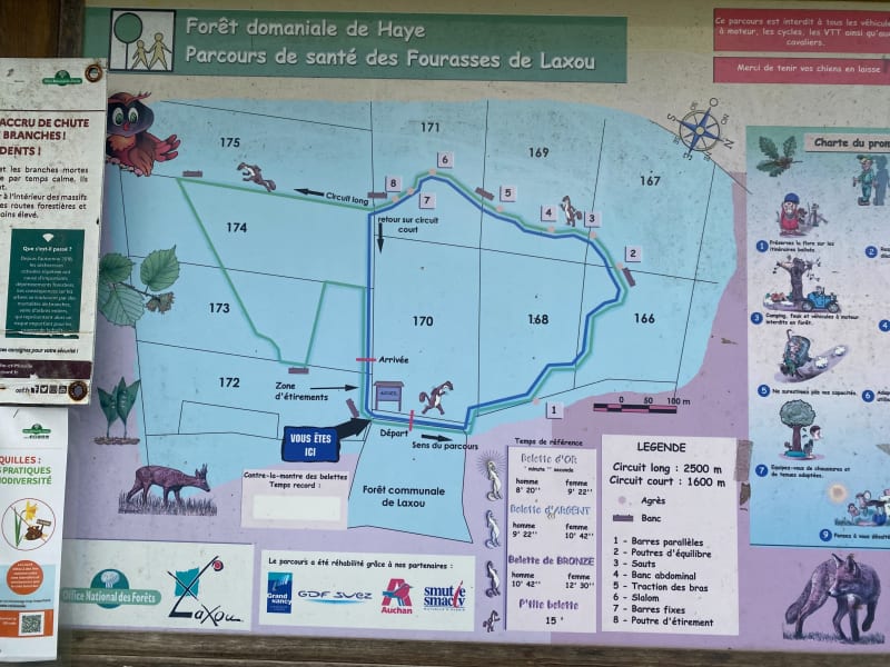 Parcours de santé Sapinière - Laxou