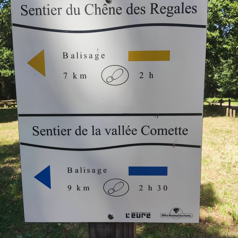 Balade en forêt de Louviers - Louviers
