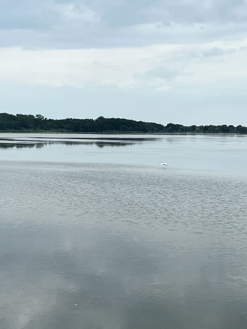 Czatownia Stary Staw - Rawicz