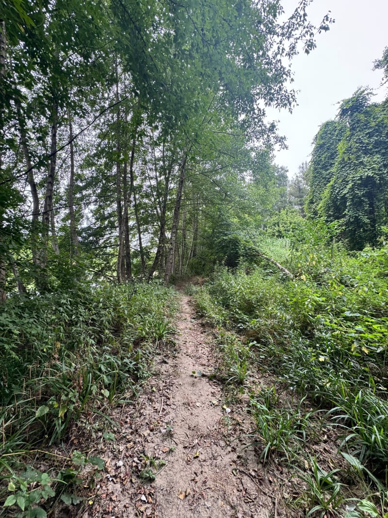 Petite boucle au sud de Saint-Chaptes - Saint-Chaptes