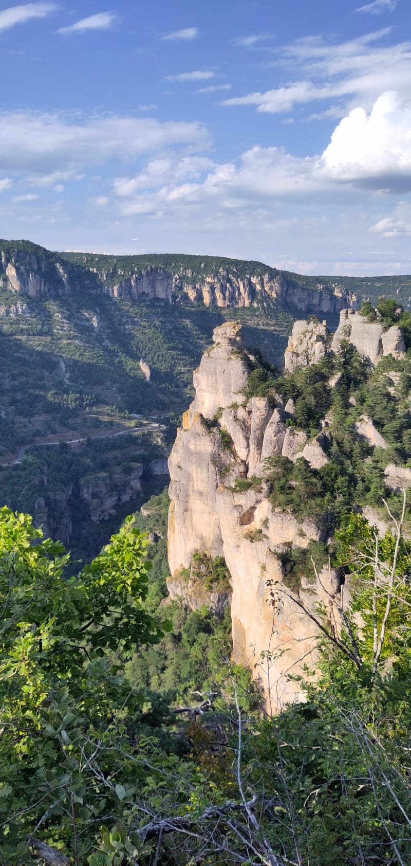 Observatoire des vautours - Veyreau