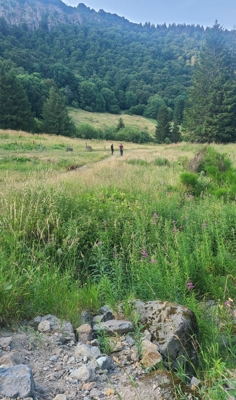 Petit tour vers les 500 diables - Chambon-sur-Lac