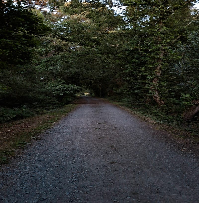 Promenade à la campagne de Flexanville - Flexanville