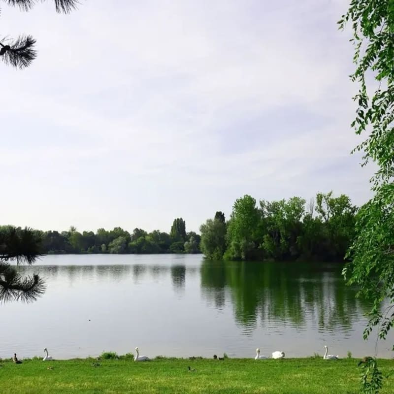 Parcours dominicale à Chalon  sur Saône - Chalon-sur-Saône