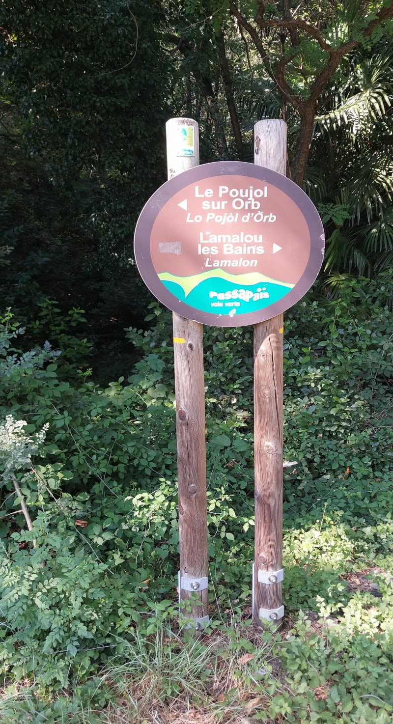 Sur les hauteurs de Lamalou/Pujol - Lamalou-les-Bains