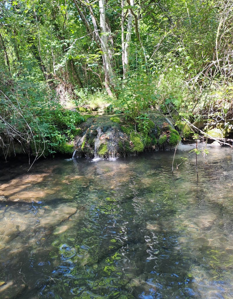 Le long de l'Aigebrun - Buoux