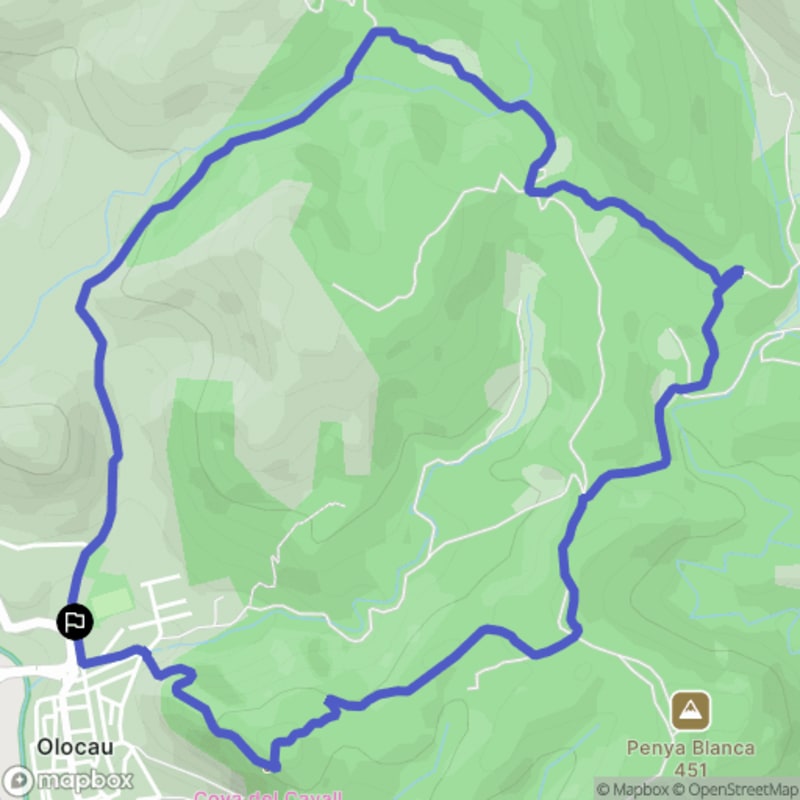Randonnée à Olocau : Découverte de la Cova del Cavall et de l'Aljub del Castellet - Olocau