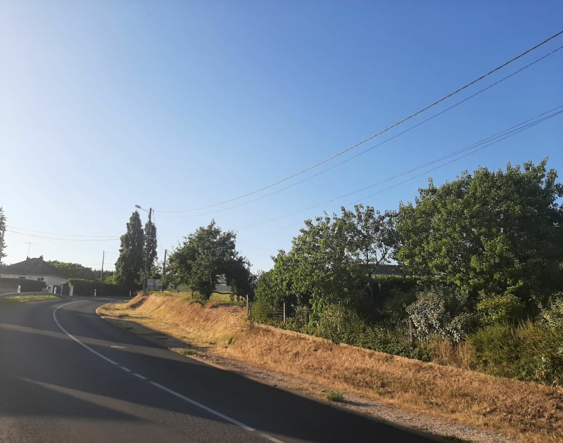 Forêt de Montrichard - Chissay-en-Touraine