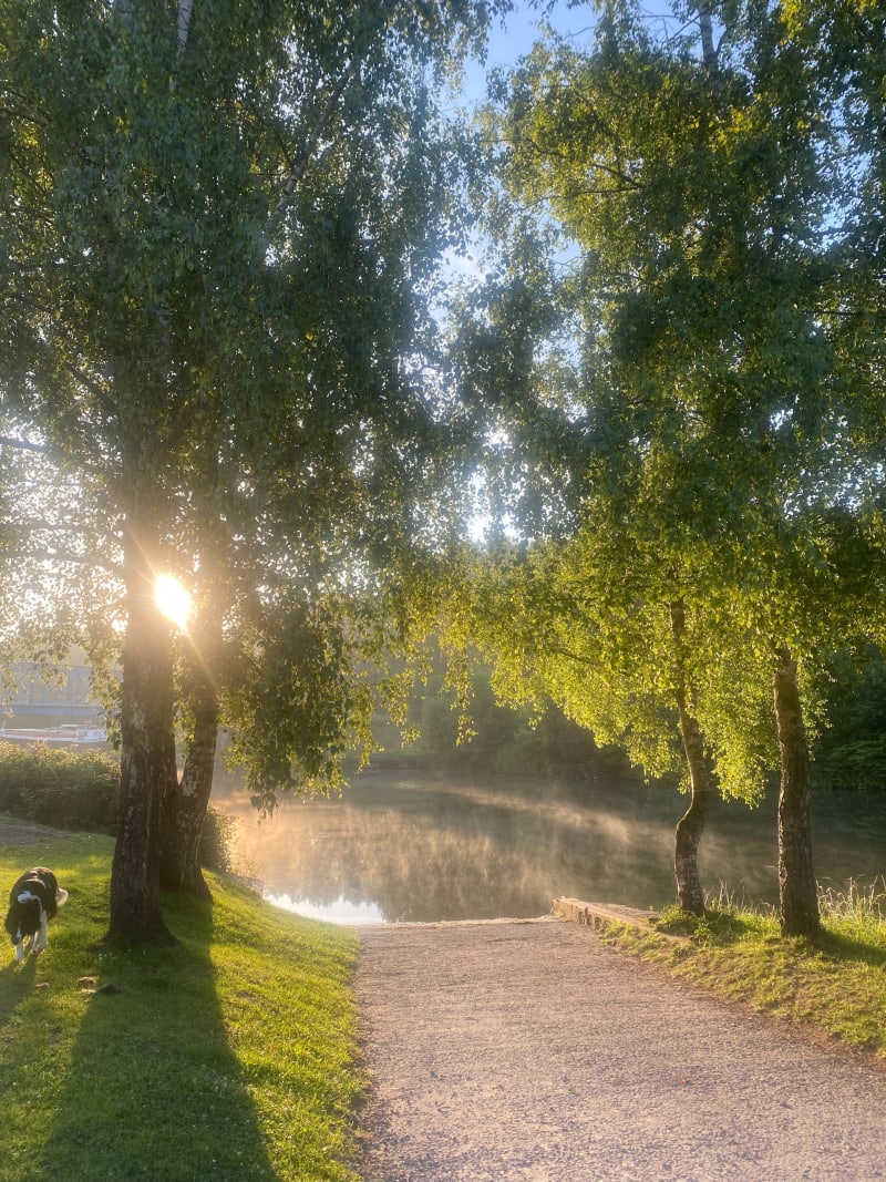 Balade en campagne autour de Oisy-le-Verger - Palluel