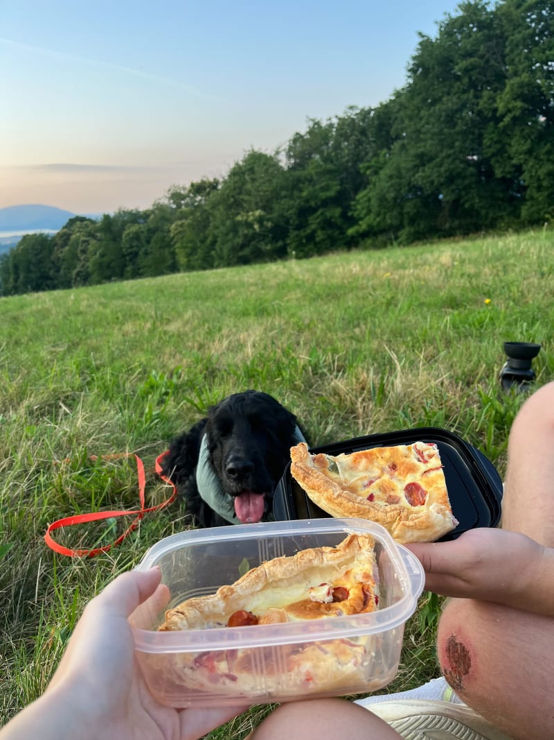 Balade avec vue à La Motte-Servolex - Chambéry