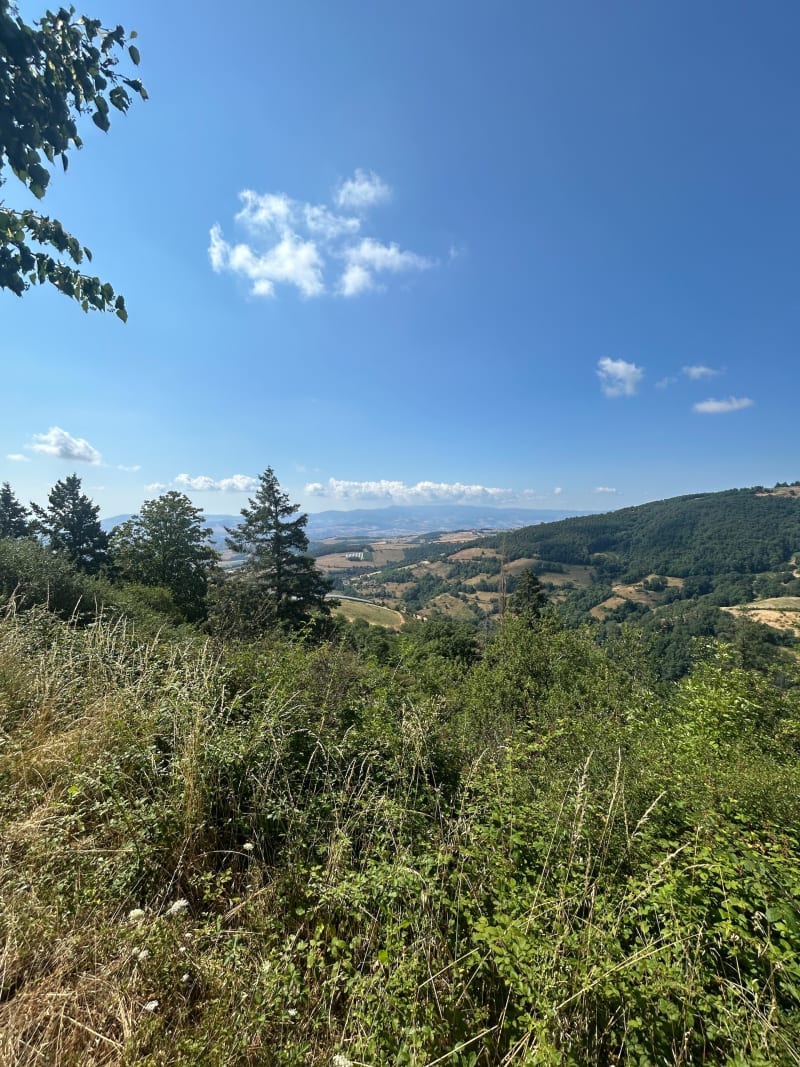 Super balade à Chassagny - Beauvallon