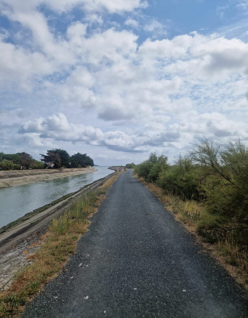 Les marais salants à Ars en Ré - Ars-en-Ré