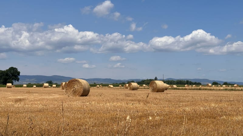 Plateau Genouilleux - Genouilleux