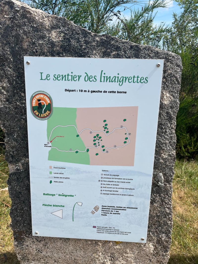 Tourbière  du Longeyroux - Saint-Merd-les-Oussines