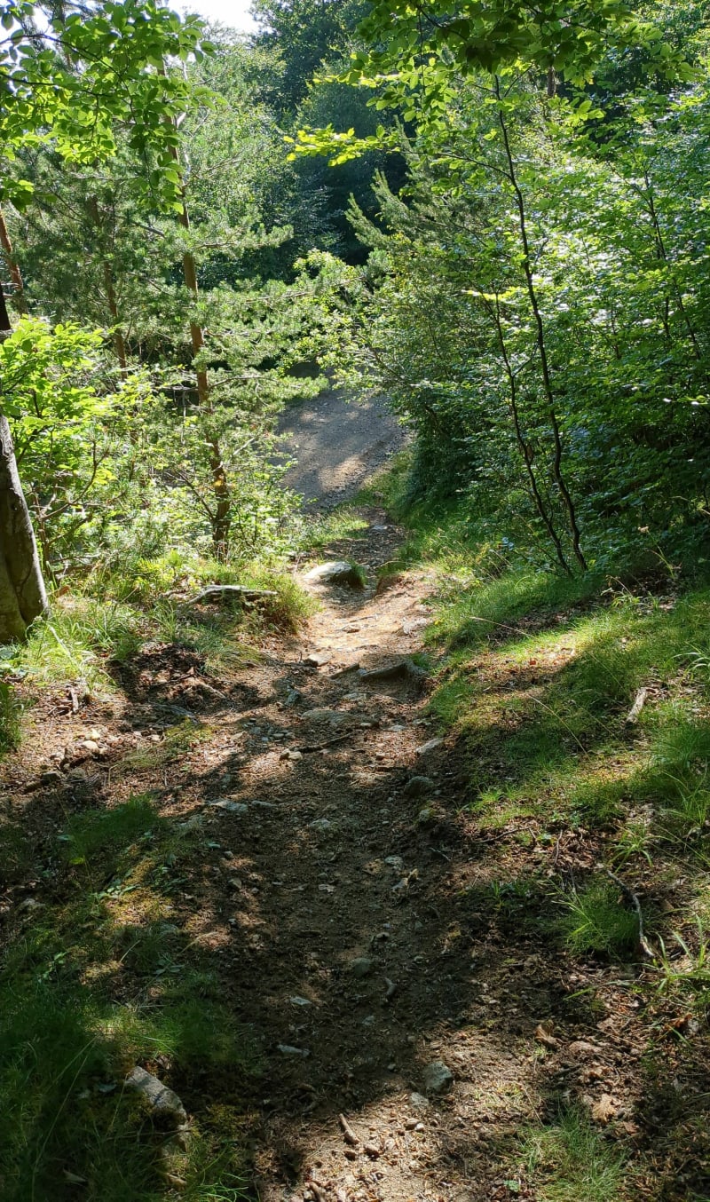 Petite balade autour de la tour de Batère - Corsavy