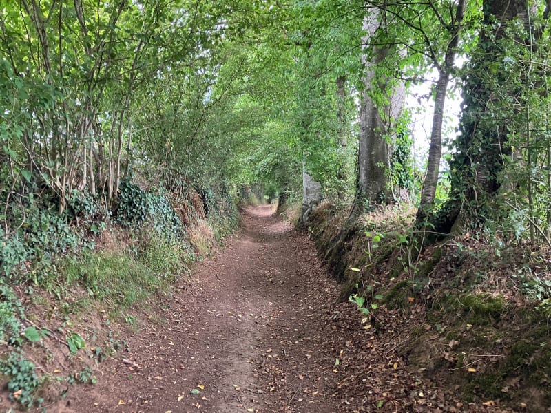 Chemin des Tisserands depuis le Pont Grat - Athis-Val de Rouvre