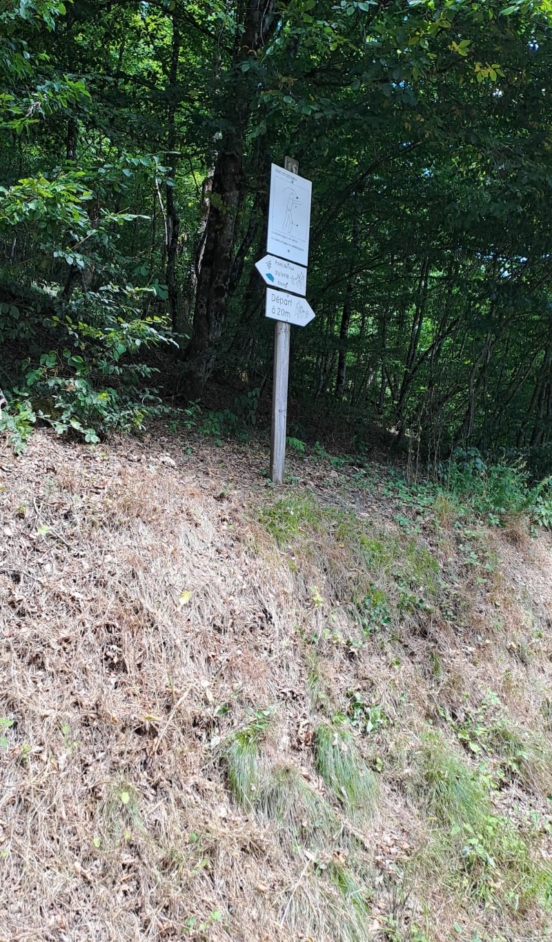 Fresse sur Moselle, hauts de Lochère via la chapelle des Vés - Fresse-sur-Moselle
