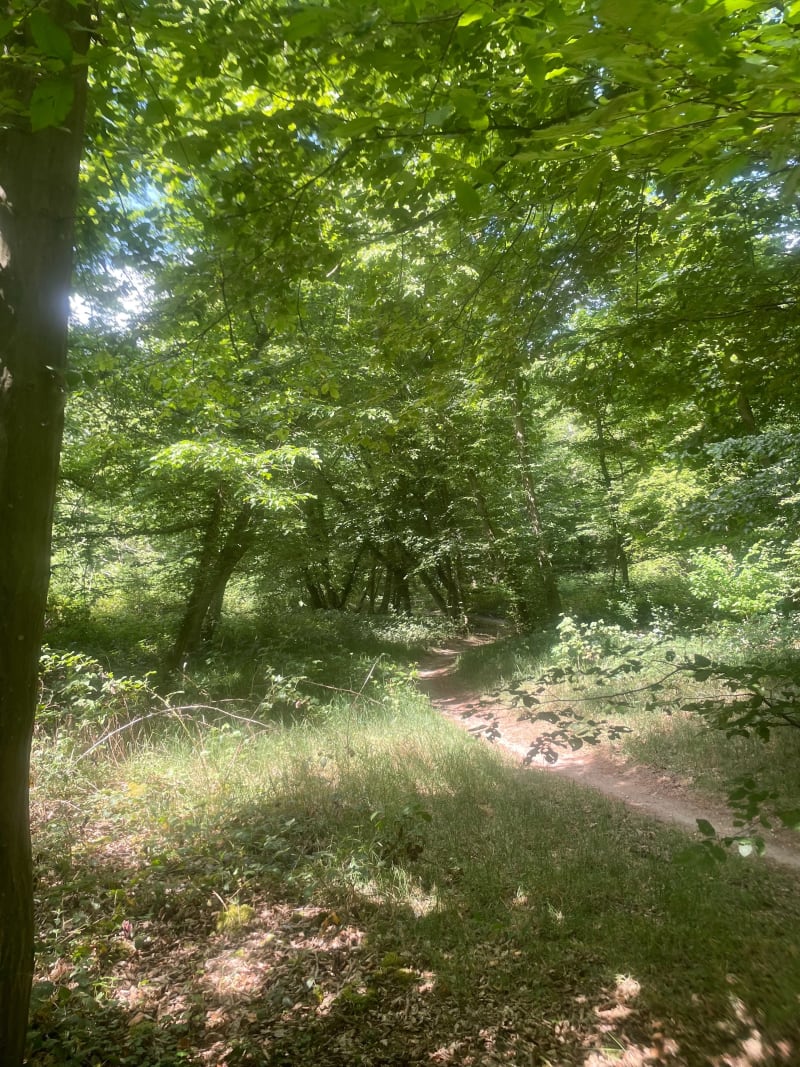 Boucle de Seine et forêt  depuis le Pecq - Le Vésinet
