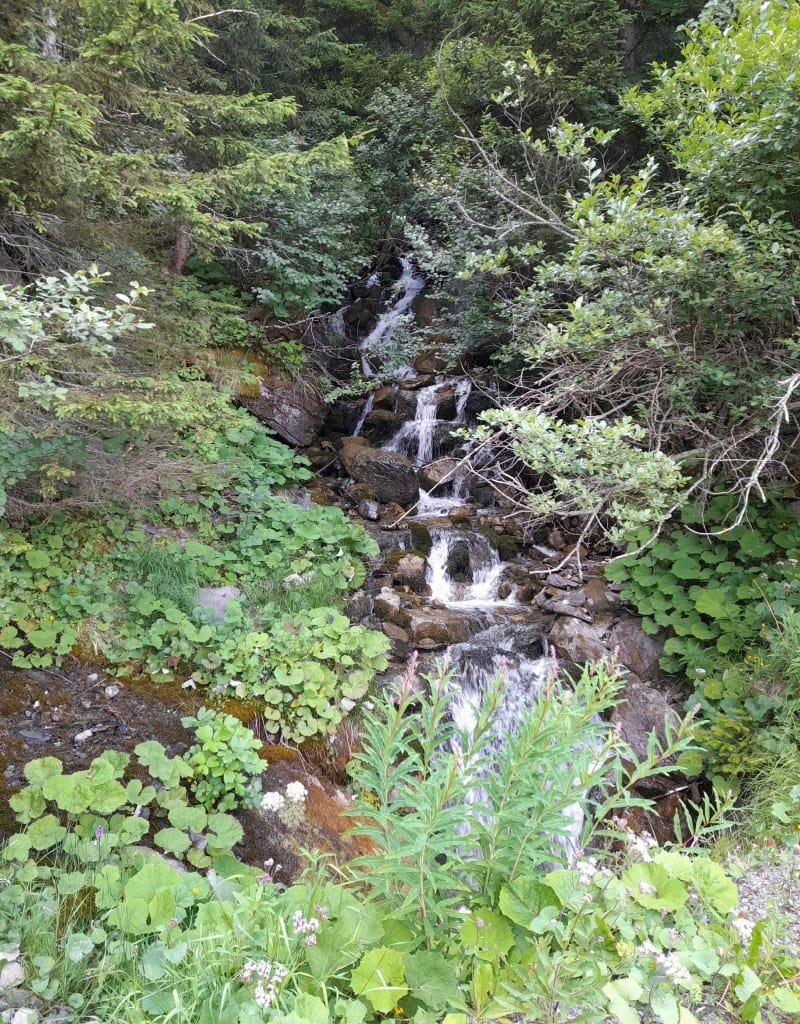 Le Blachon - Montricher-Albanne