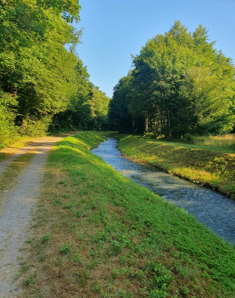 Balade entre Saint-Bernard et Michelbach - Saint-Bernard
