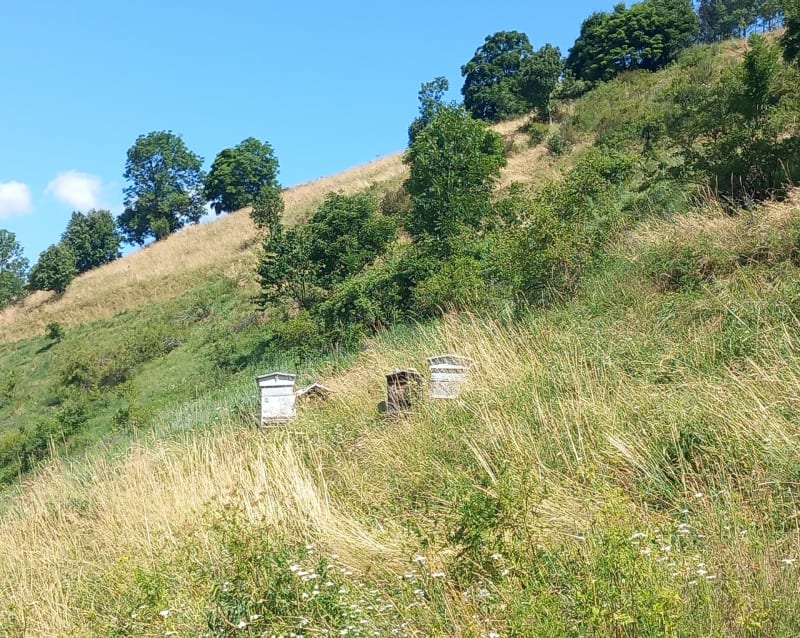 Les 3 croix depuis l'Archaz - Valloire