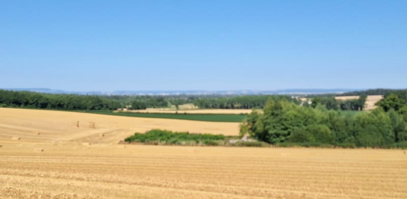 Belleneuve/ foret de Longchamp /Belleneuve - Belleneuve