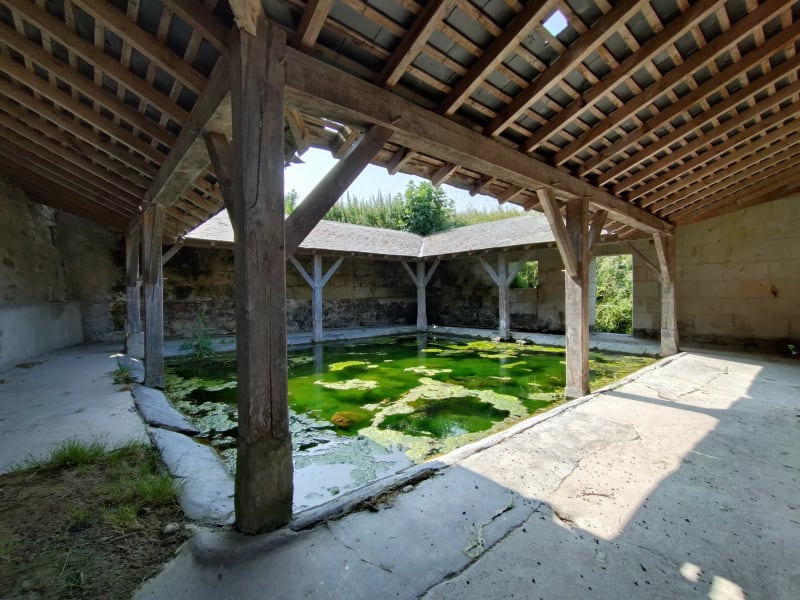 Visite des lavoirs autour de Blaison-Saint-Sulpice - Blaison-Saint-Sulpice