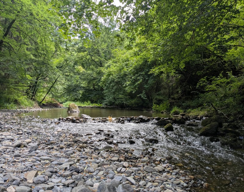 Sentier des deux hêtres à Céras - Brusque