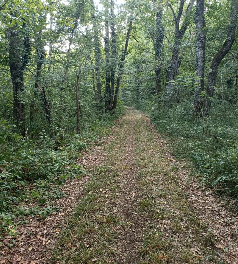 Balade sur les hauts de Cravant - Deux Rivières