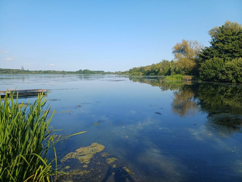 Condé-sur-l’Escaut - Marly
